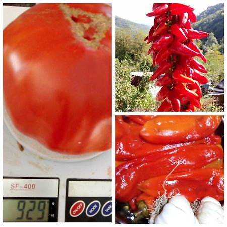 Bed and Breakfast Domacinstvo Kod Gere Crni Vrh Екстер'єр фото